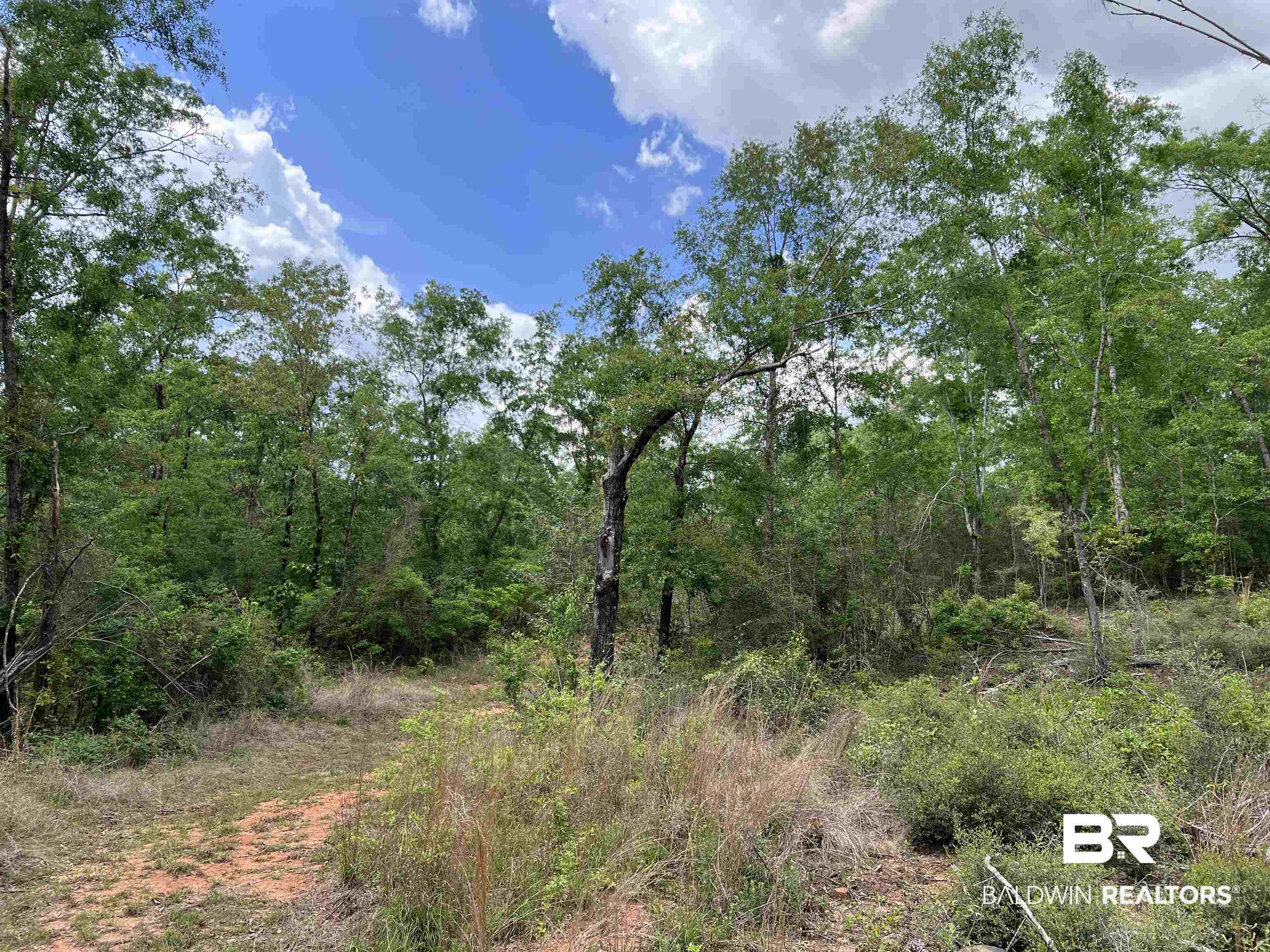 5100 Wiggins Lake Road Walnut Hill, FL 32568 - Photo 31 of 41