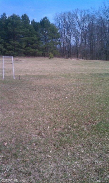 0 Allen Road Fenton, MI 48430 - Photo 7 of 9 IMAG0519.jpg