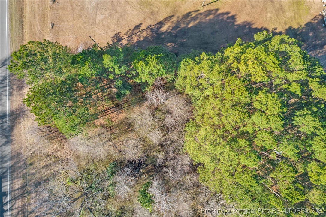 Lot 2 Laurinburg Road Raeford, NC 28376 - Photo 16 of 20 Gallery Image 16