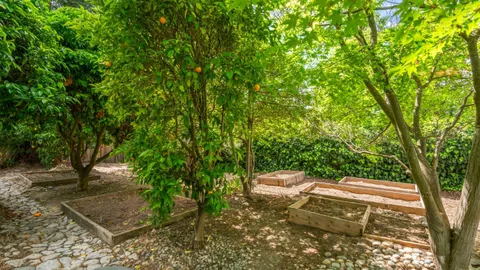 $5,995,000 | 16255 Short Road, Los Gatos, CA 95032
