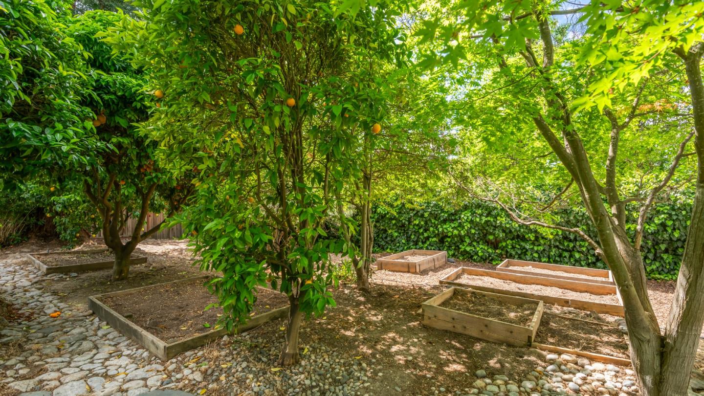 16255 Short Road Los Gatos, CA 95032 - Photo 54 of 57
