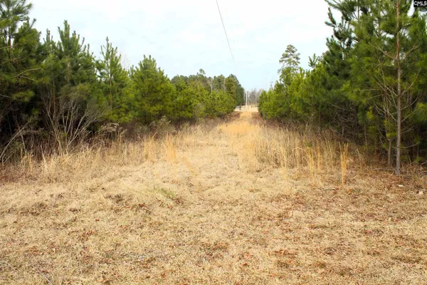 $919,000 | Tbd Crooked Creek Road, Chapin, SC 29036