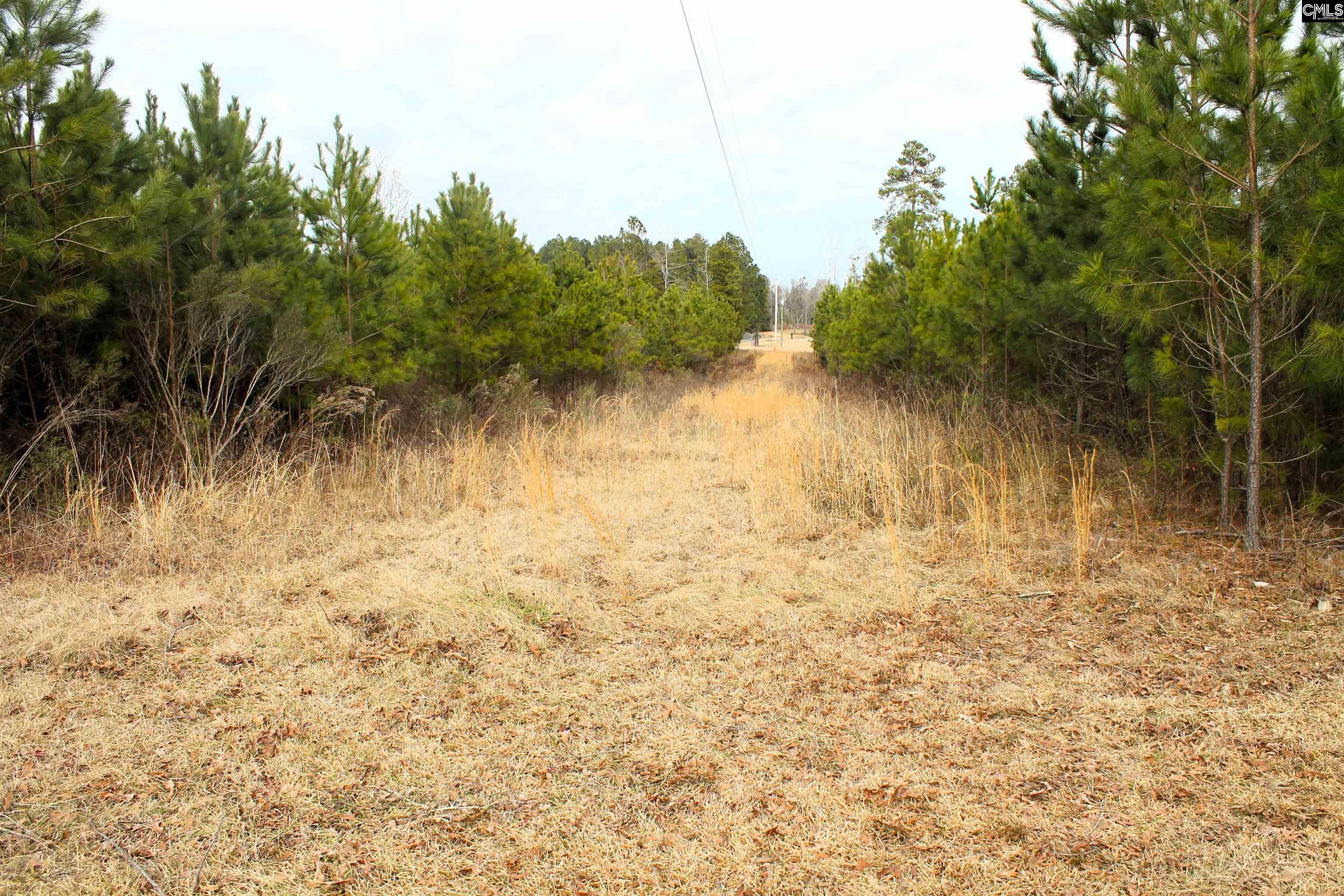 Tbd Crooked Creek Road Chapin, SC 29036 - Photo 1 of 20