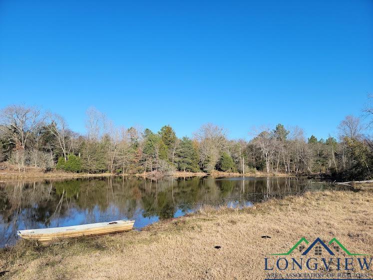 3372 Red Maple Road Big Sandy, TX 75755 - Photo 28 of 34 Gallery Image 28