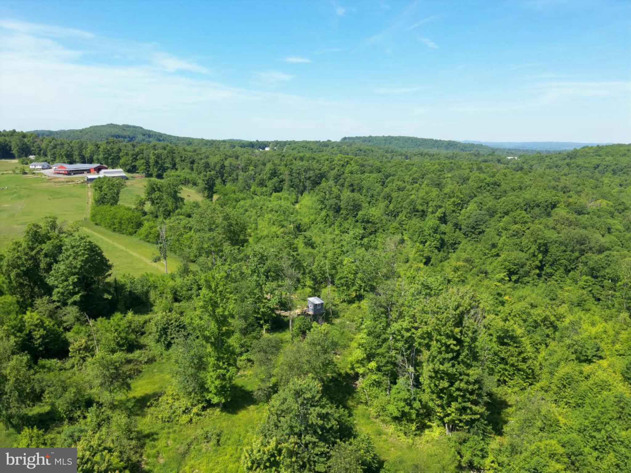 301 Dinkenberger Road Kingwood, WV 26537 - Photo 57 of 57 a view of a big yard with plants and large trees
