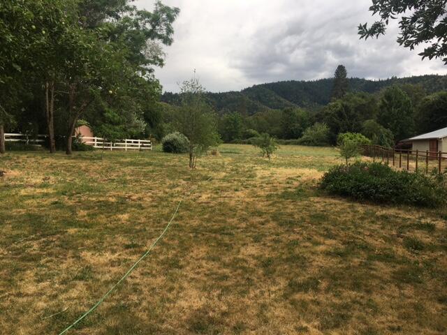6743 Old Stage Road Medford, OR 97502 - Photo 19 of 23 IMG_4051