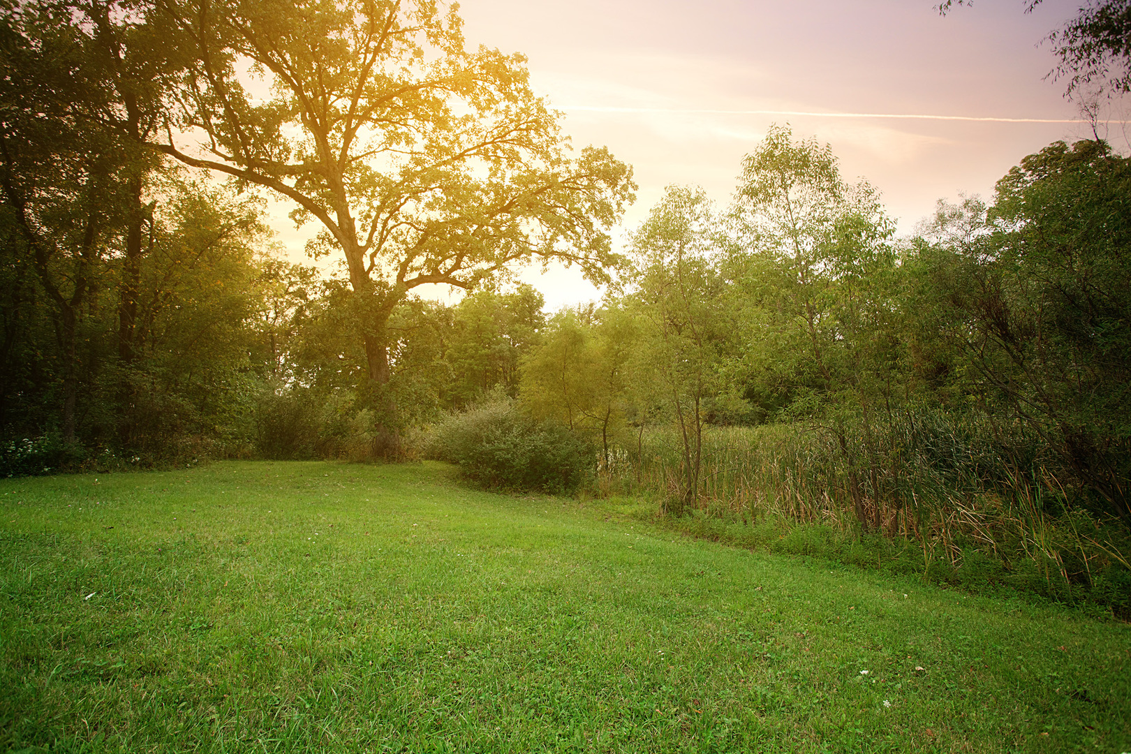 3975 166th Lane Lowell, IN 46356 - Photo 4 of 5