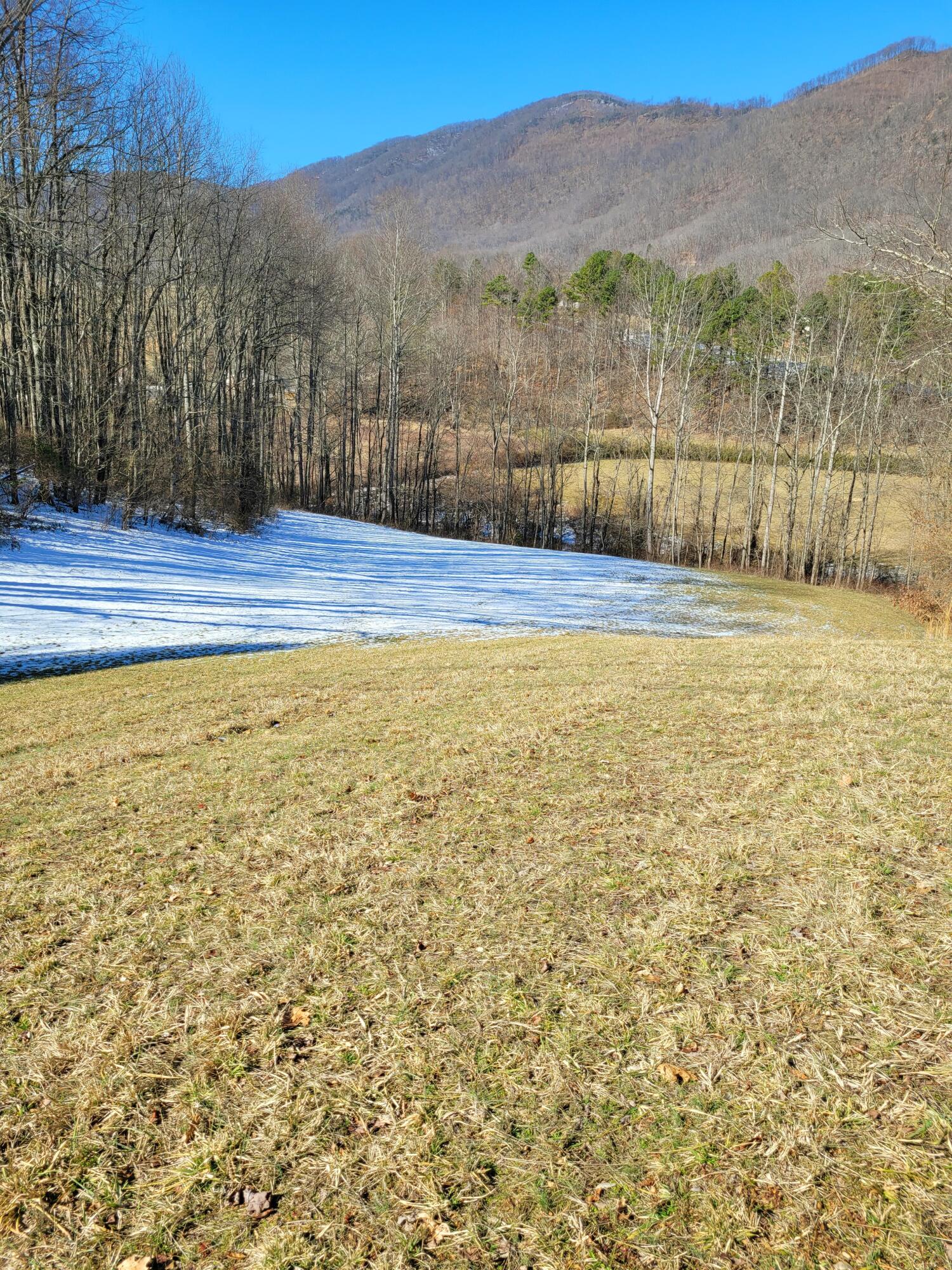 Tbd Sunny Road Big Stone Gap, VA 24219 - Photo 2 of 5 20220131_122315