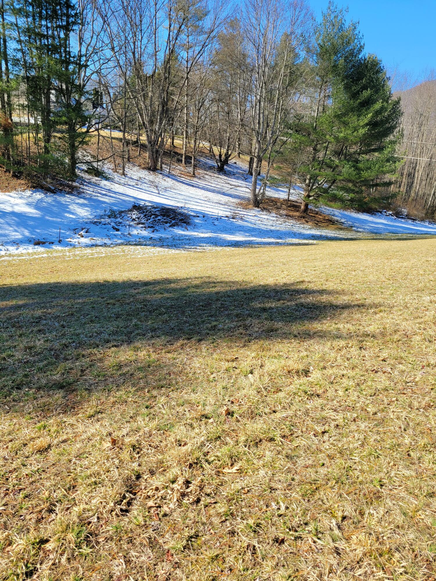 Tbd Sunny Road Big Stone Gap, VA 24219 - Photo 4 of 5 20220131_122154
