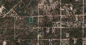 $20,000 | Tbd Northeast 90th Street, Bronson, FL 32621
