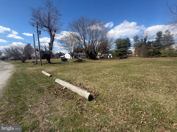 a view of yard with tree