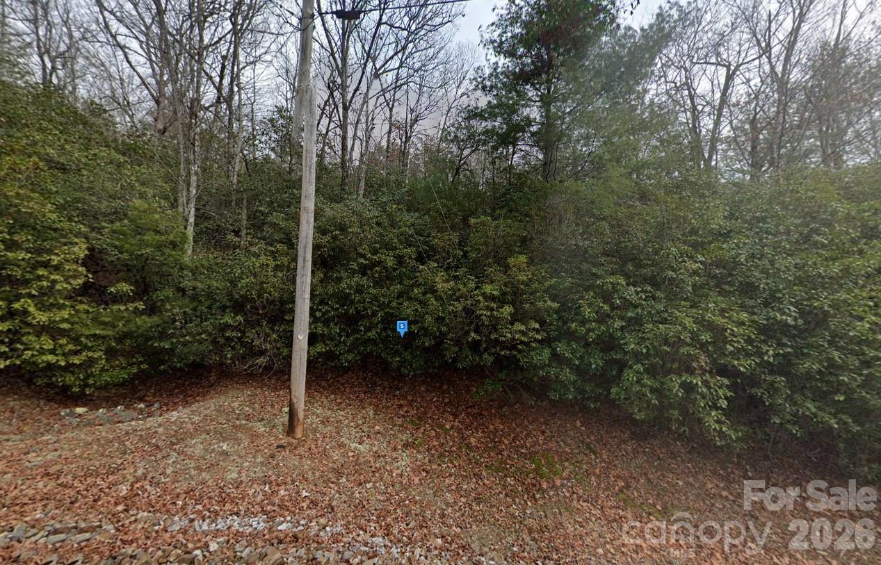 155 Laurel Mountain Road Franklin, NC 28734 - Photo 2 of 6