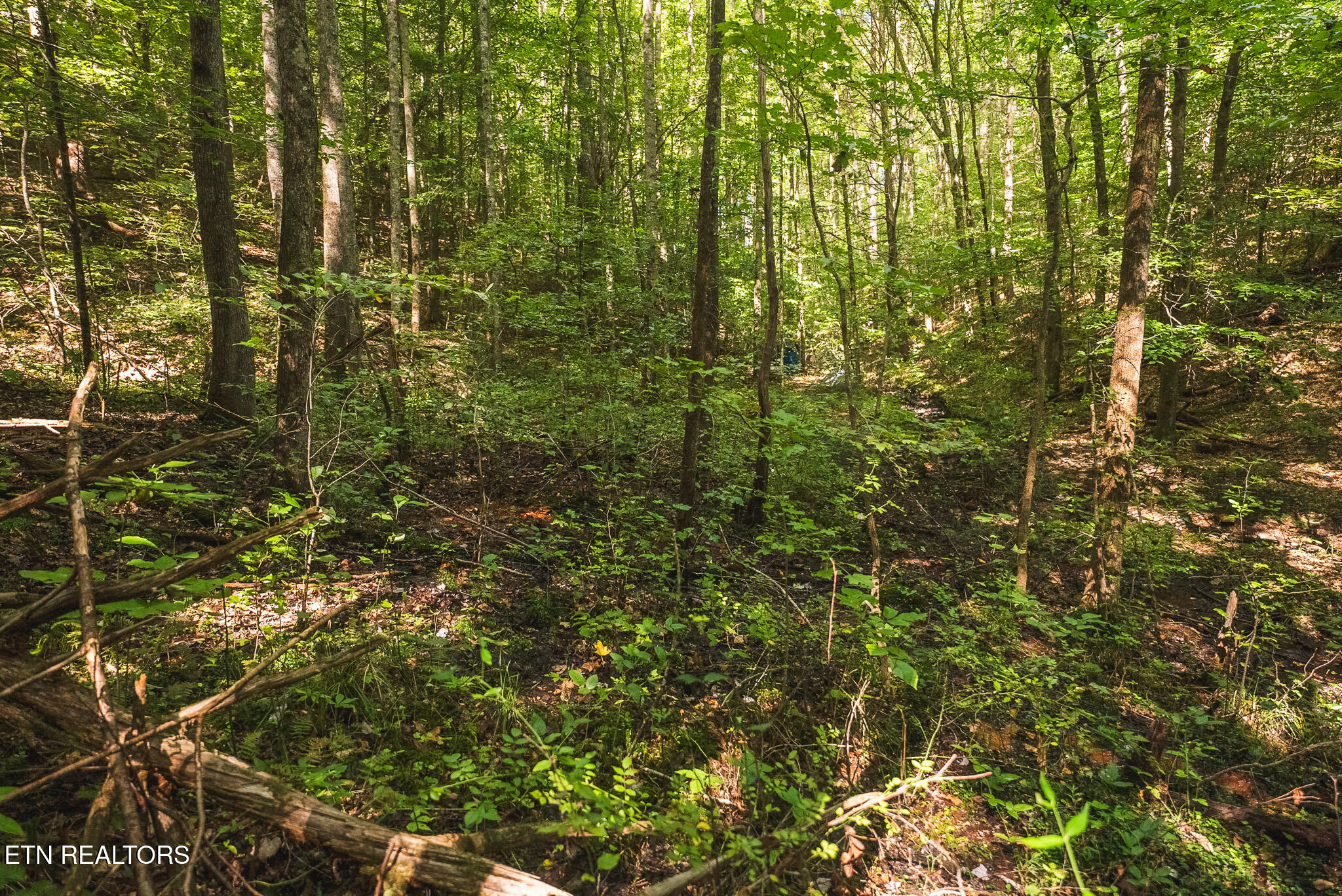 Watson Hollow Road Speedwell, TN 37870 - Photo 12 of 37 DSC03645