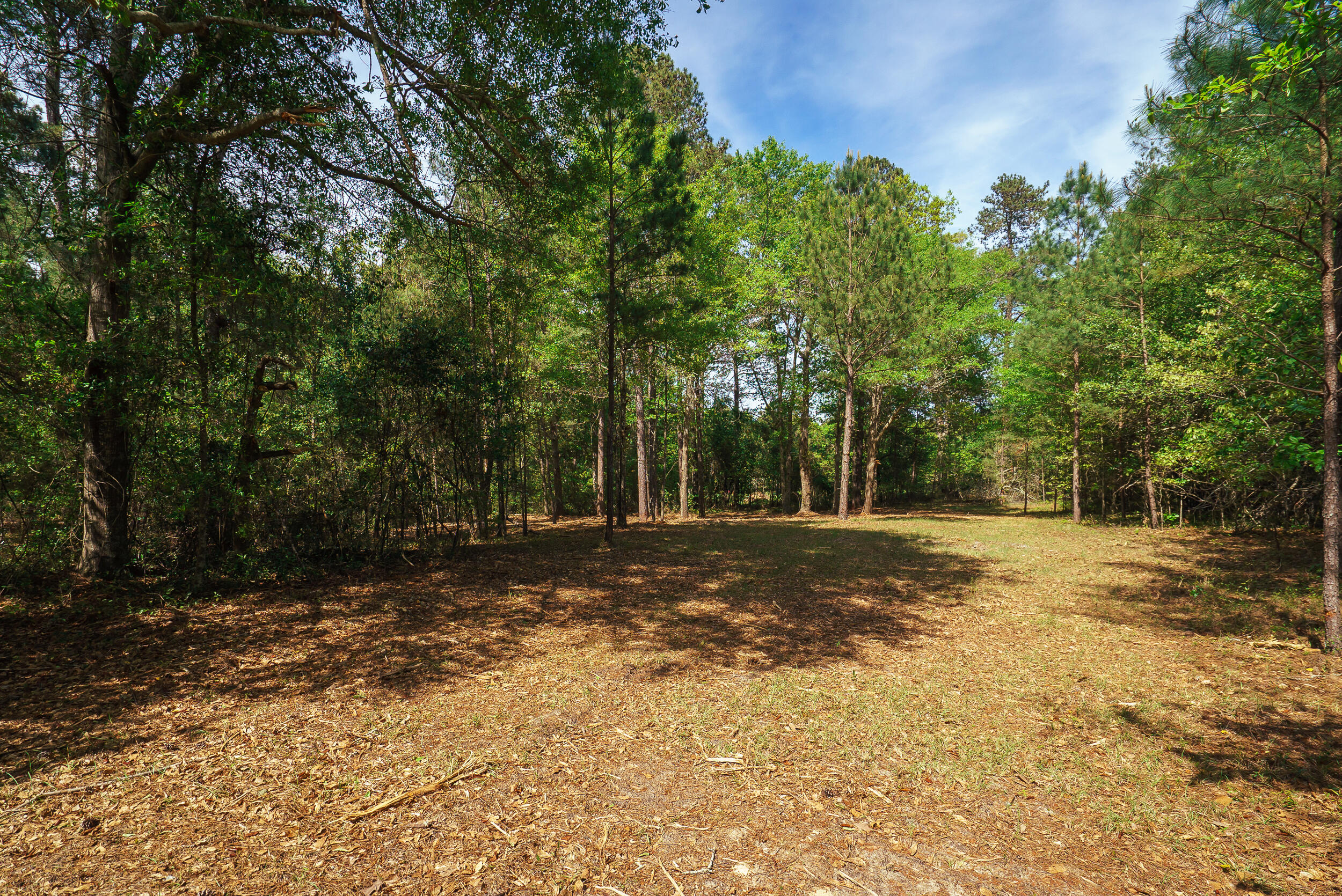 Lot 3 Banks Mill Road Southeast Aiken, SC 29803 - Photo 30 of 42