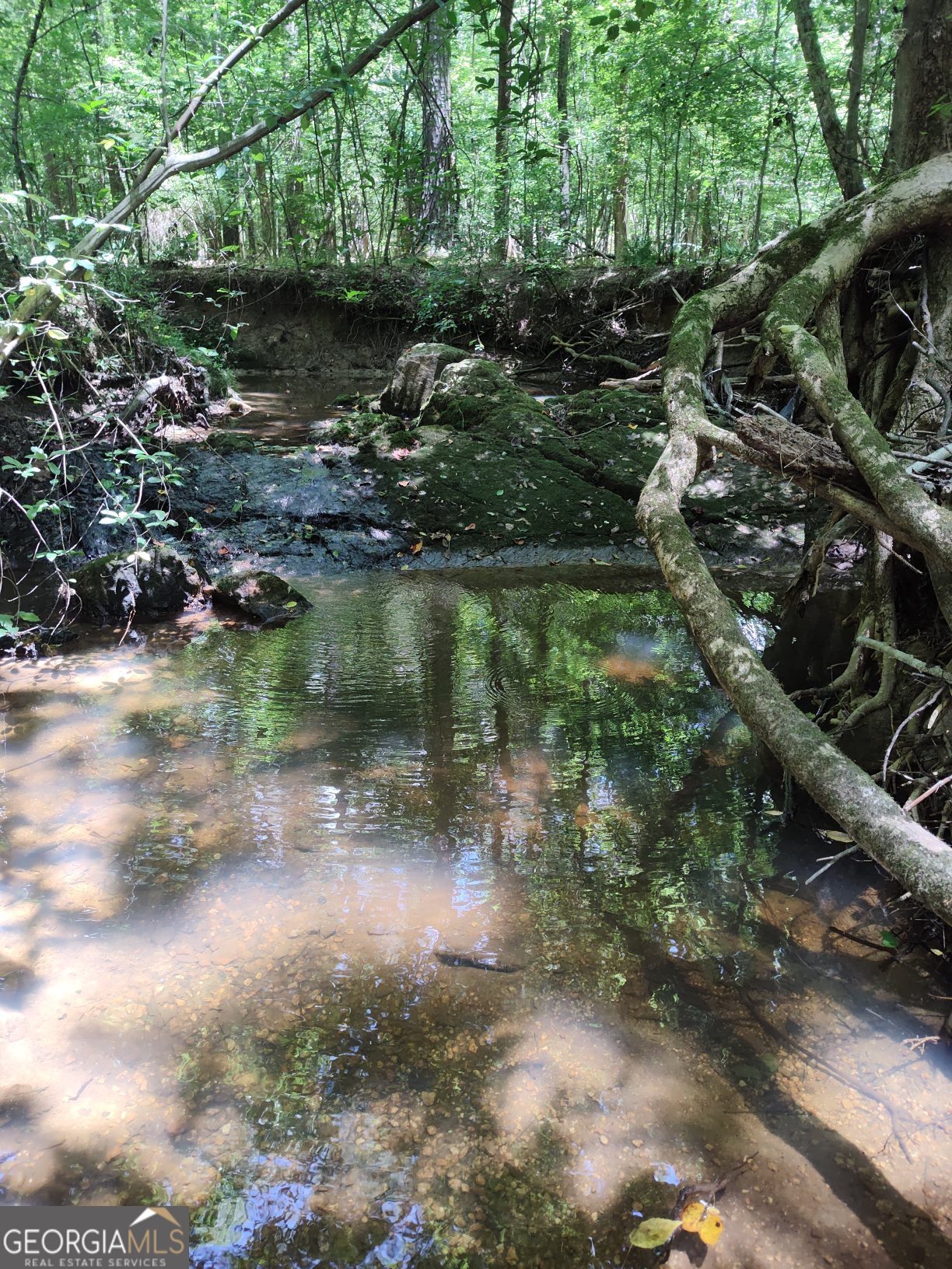 a view of a lake with houses