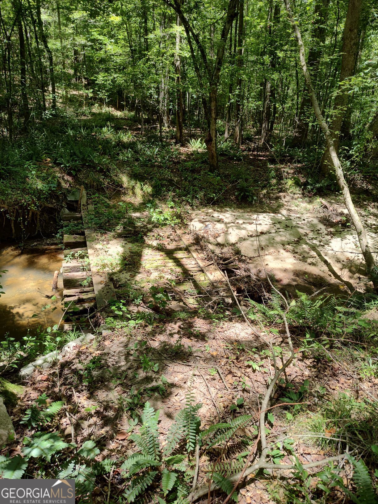 2211 Indian Hill Road Elberton, GA 30635 - Photo 12 of 23 a view of yard with trees