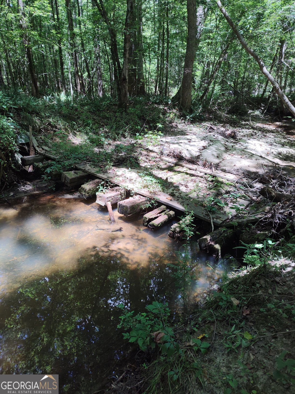 2211 Indian Hill Road Elberton, GA 30635 - Photo 13 of 23 a view of forest