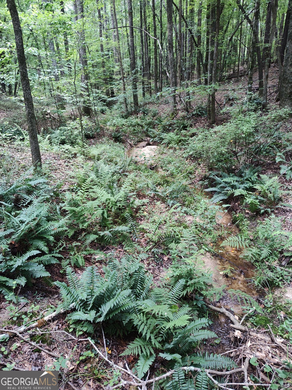 2211 Indian Hill Road Elberton, GA 30635 - Photo 15 of 23 a view of outdoor space and green space