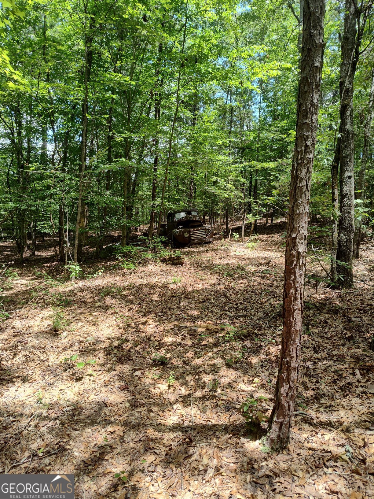 2211 Indian Hill Road Elberton, GA 30635 - Photo 17 of 23 a view of a yard with plants and trees