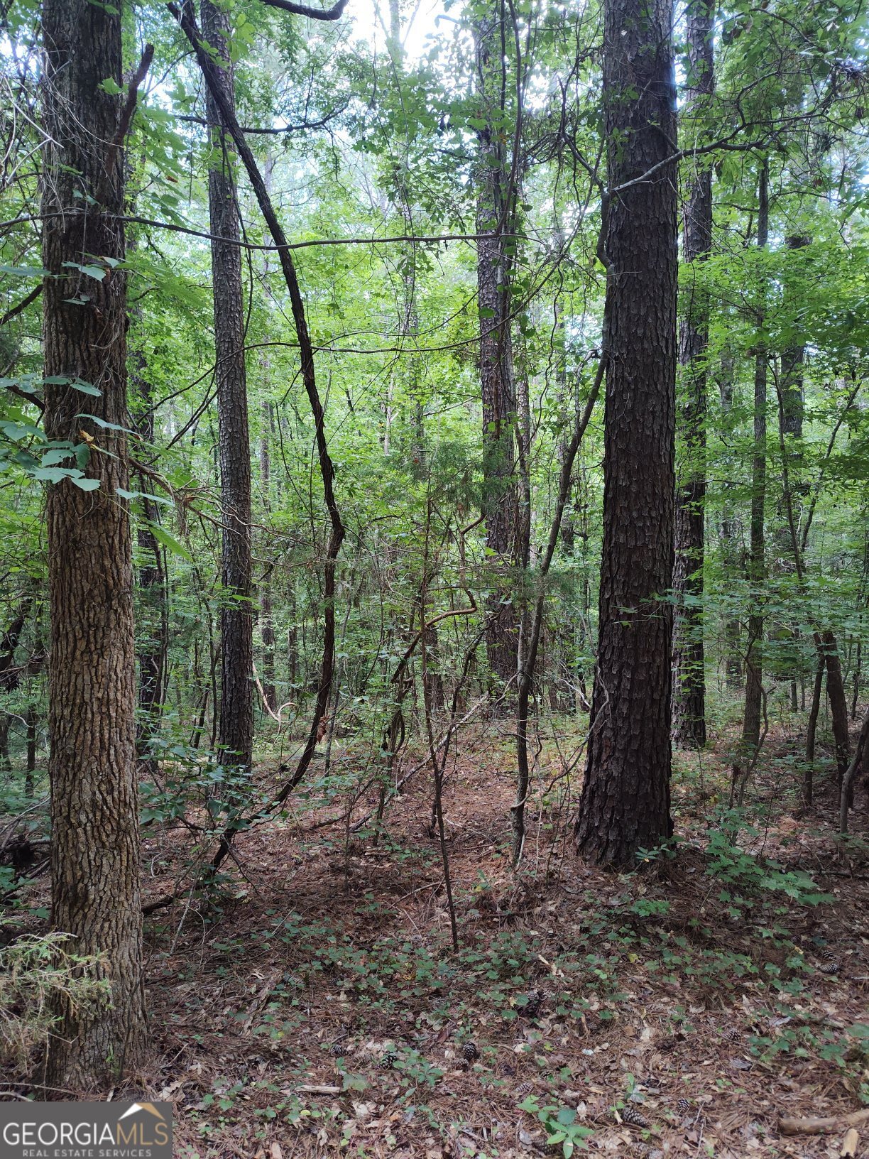 2211 Indian Hill Road Elberton, GA 30635 - Photo 20 of 23 a view of outdoor space and green space