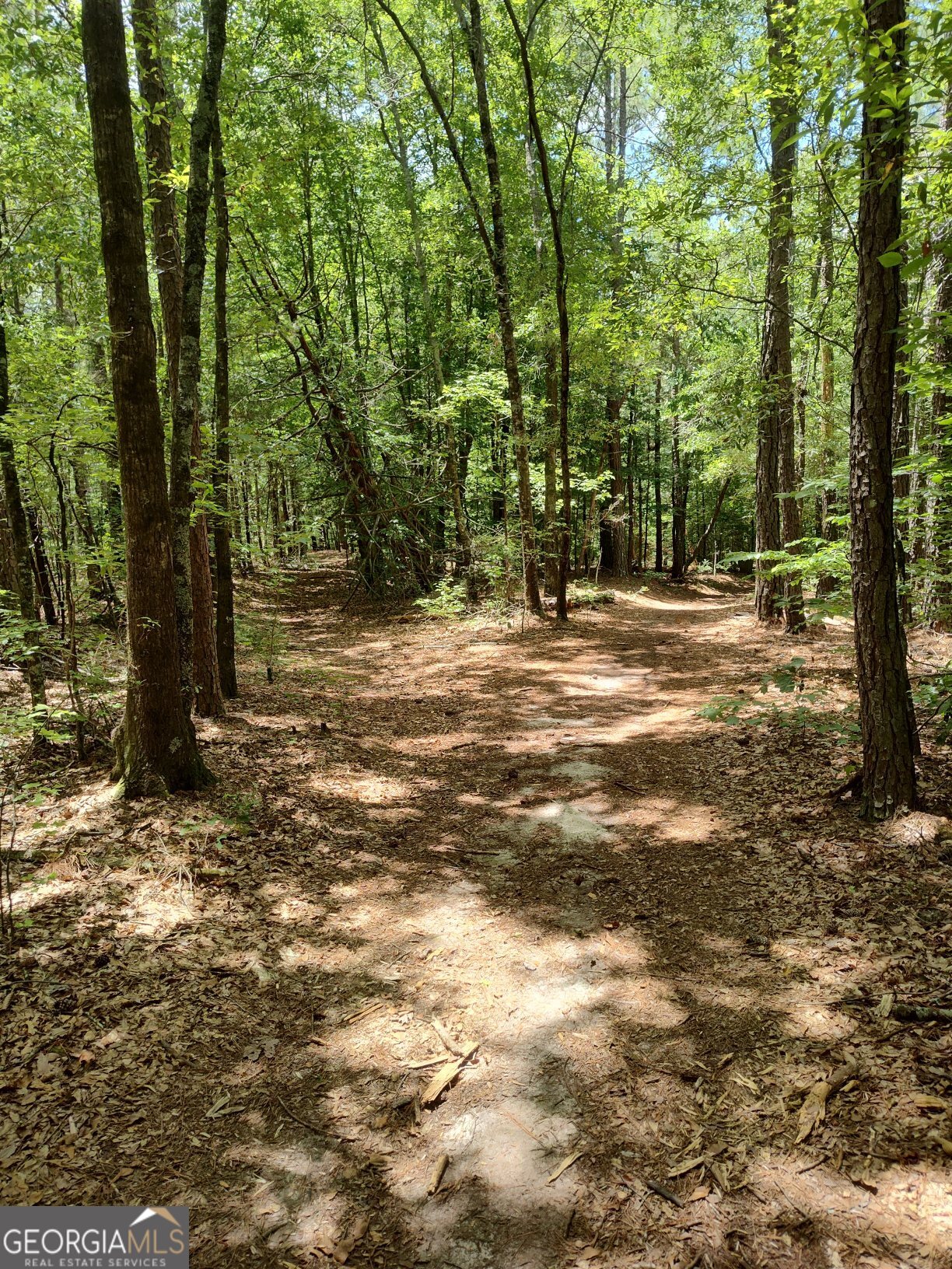 2211 Indian Hill Road Elberton, GA 30635 - Photo 23 of 23 a view of a yard with a tree