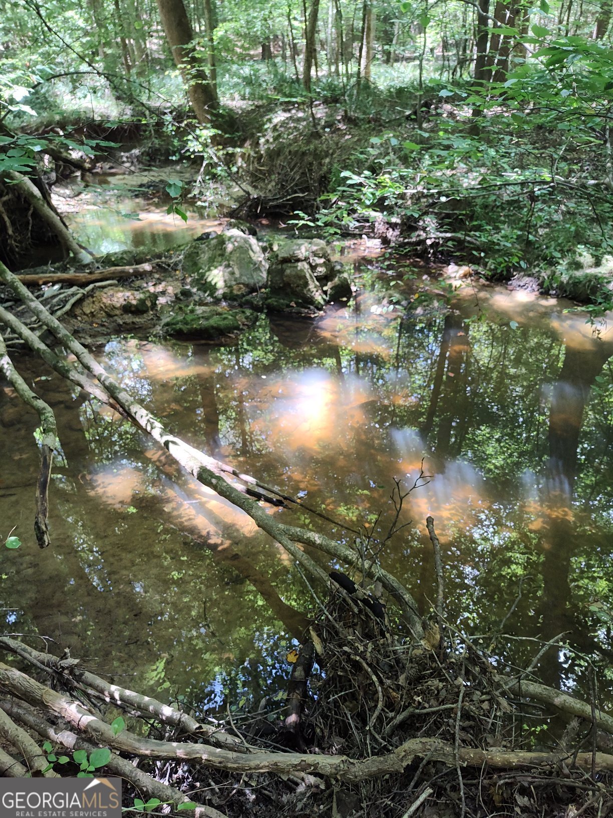 2211 Indian Hill Road Elberton, GA 30635 - Photo 5 of 23