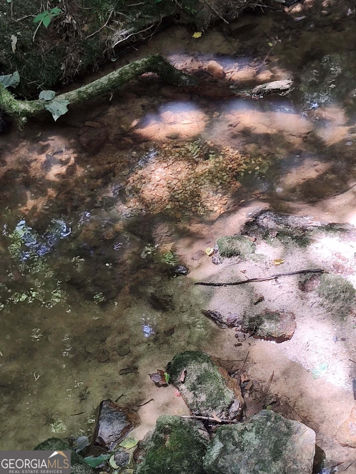 2211 Indian Hill Road Elberton, GA 30635 - Photo 7 of 23 a view of a yard