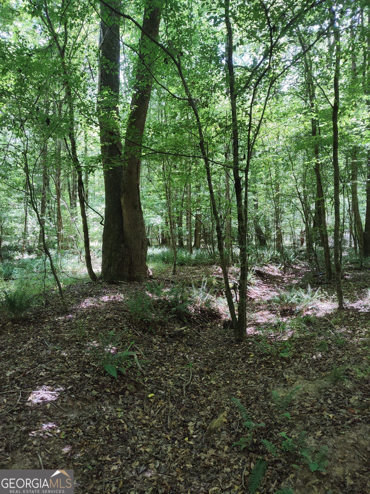 2211 Indian Hill Road Elberton, GA 30635 - Photo 10 of 23 a view of outdoor space and green space