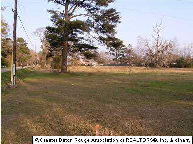 0 Hodgeson Road Prairieville, LA 70769 - Photo 2 of 2 Gallery Image 2
