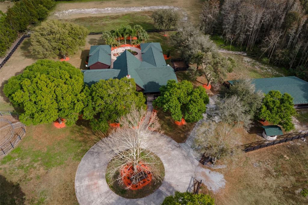 11205 Tarpon Springs Road Odessa, FL 33556 - Photo 1 of 1 Gallery Image 1