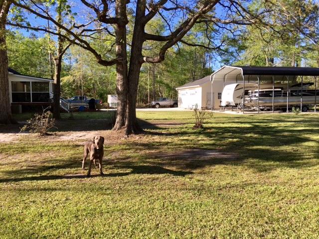 2078 Old Beech Hill Road Ridgeville, SC 29472 - Photo 20 of 42 FullSizeRender_6