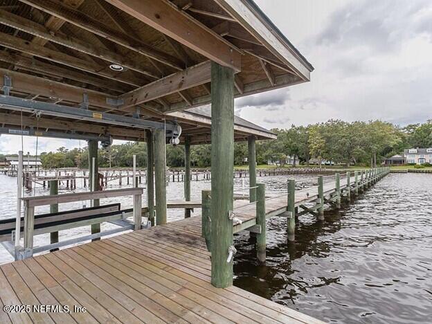 145 River Road Orange Park, FL 32073 - Photo 92 of 110 Dock