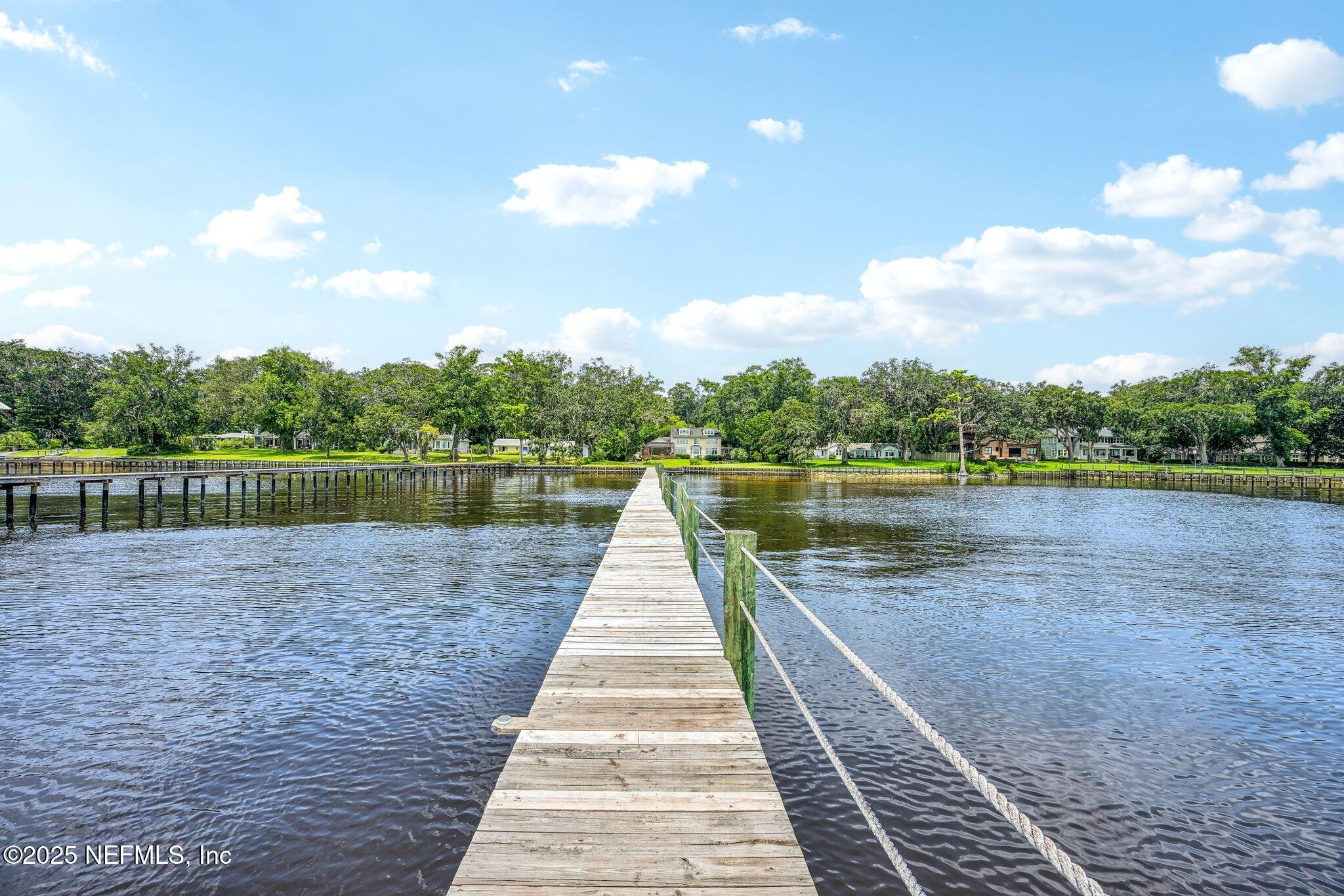 145 River Road Orange Park, FL 32073 - Photo 94 of 110 93-web-or-mls-River Rd-0306-091