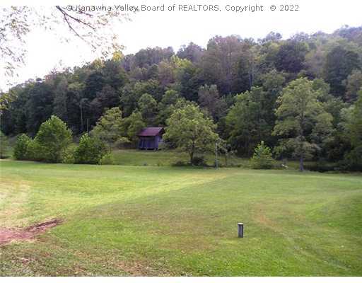 4577 Medina Road Ravenswood, WV 26164 - Photo 5 of 8 Land/Lot.