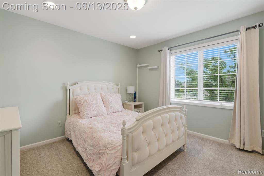 41920 Wolfe Pass Novi, MI 48377 - Photo 56 of 77