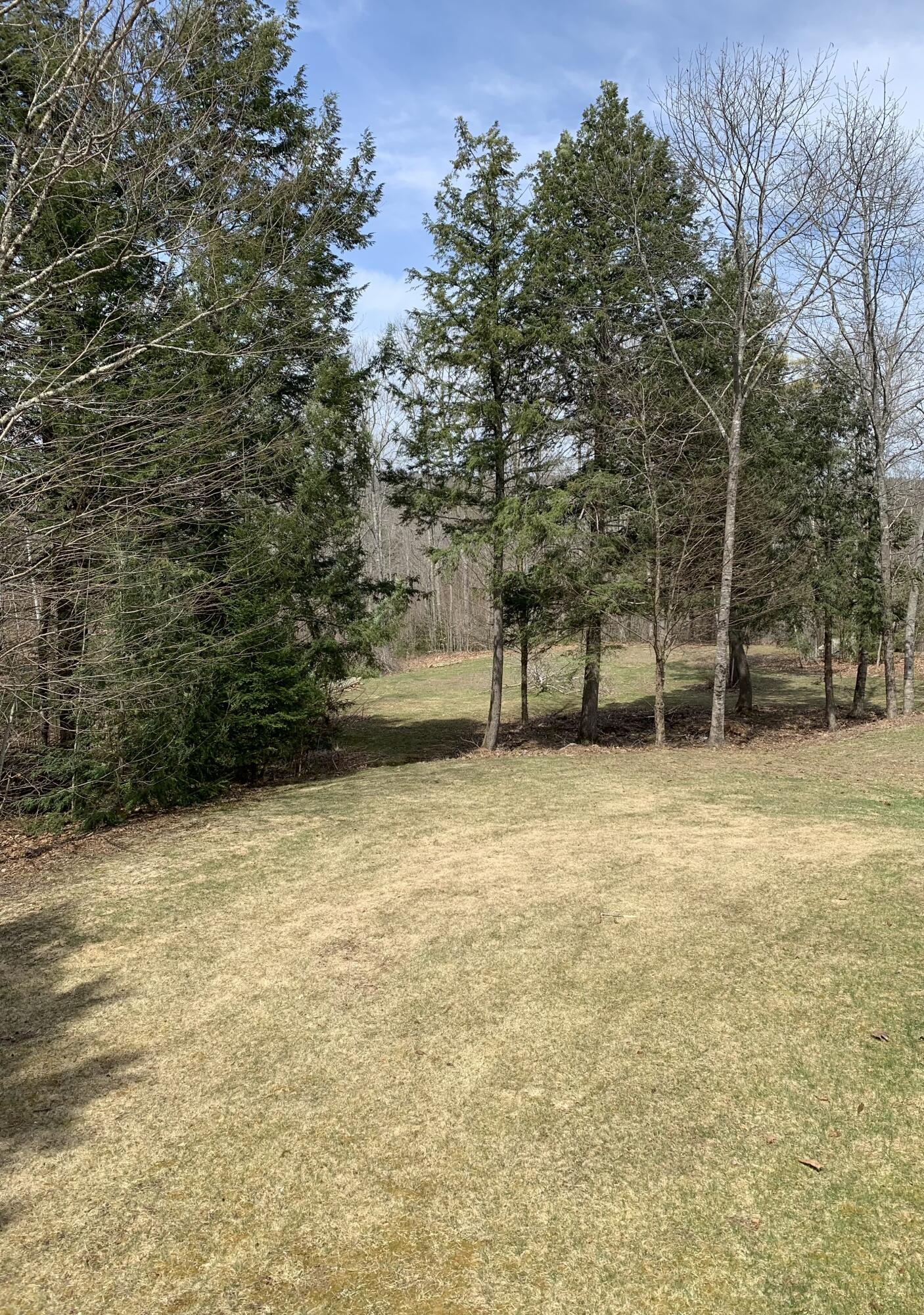 36 Pebble Road Jefferson, ME 04348 - Photo 53 of 59 Back Yard