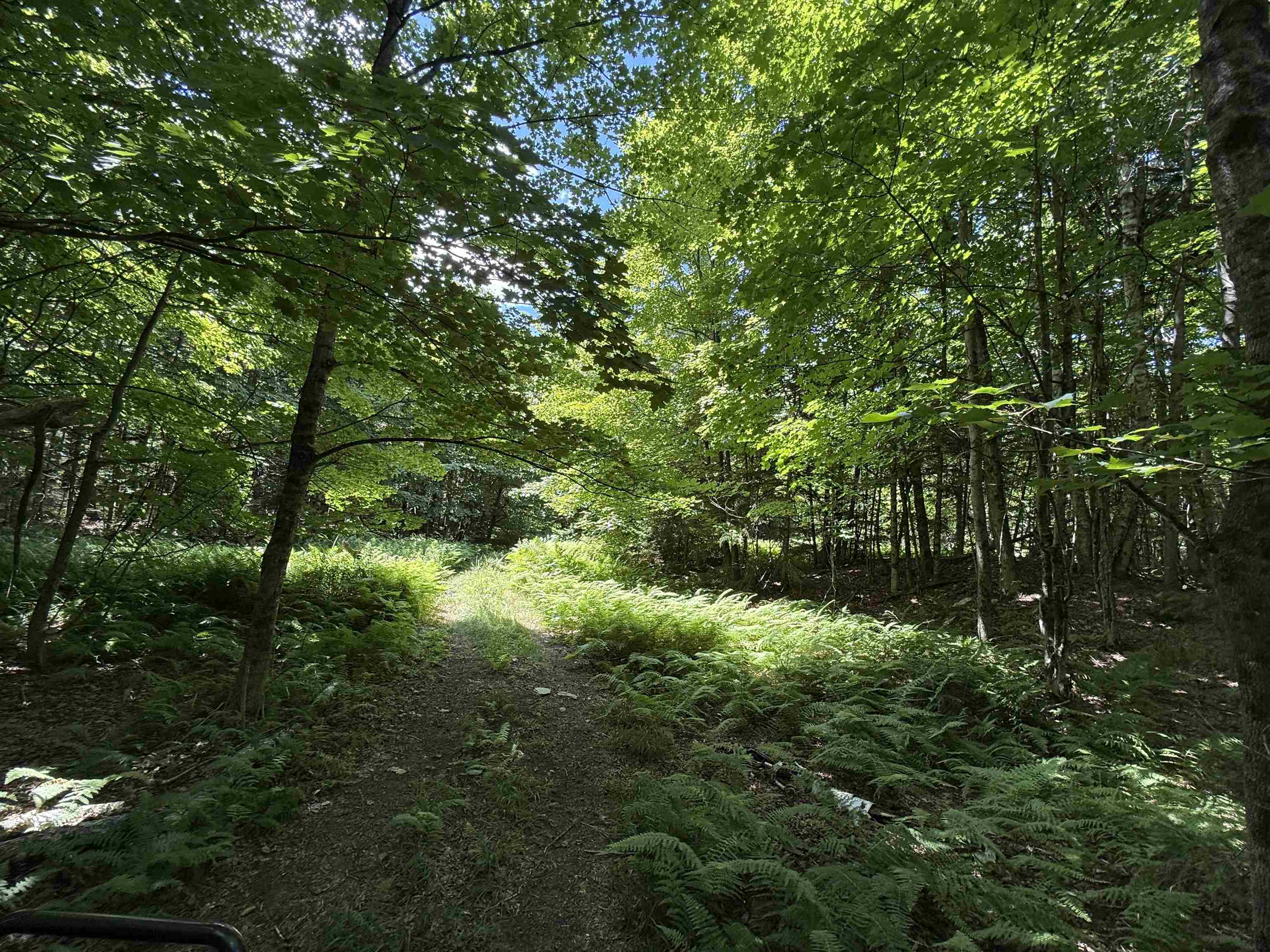 392 Sicard Road Randolph, VT 05060 - Photo 43 of 45