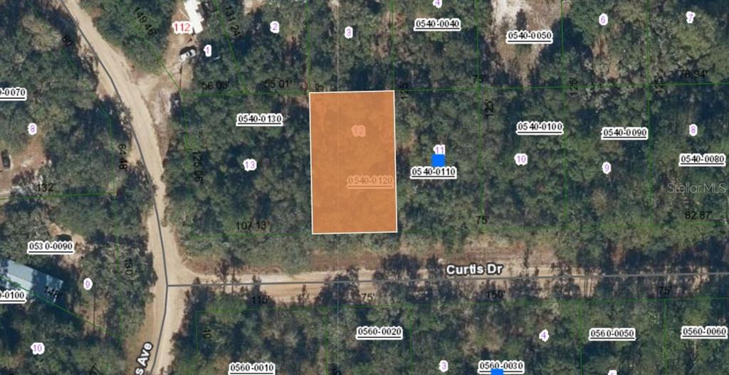 0 Curtis Drive Interlachen, FL 32148 - Photo 1 of 1 a picture of city view