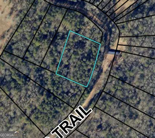 $29,900 | 0 Morris Trail, Carnesville, GA 30521