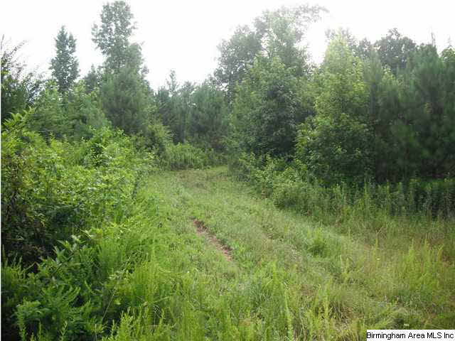 Sardis Road, Unit 1 Lineville, AL 36266 - Photo 8 of 22