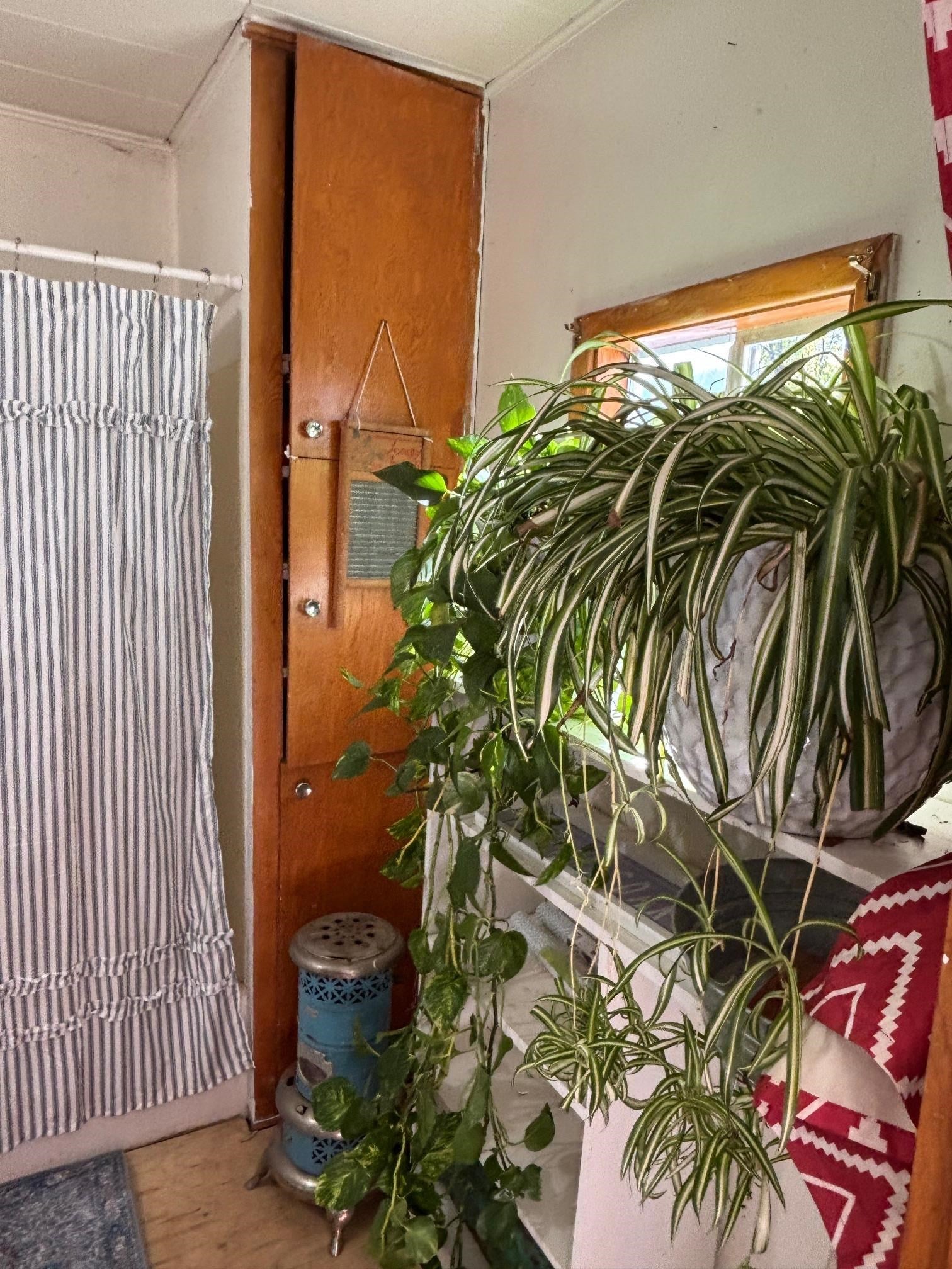 811 Colbert Avenue Springer, NM 87747 - Photo 12 of 39 Gallery Image 12