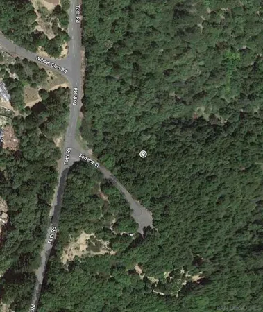 a view of a forest