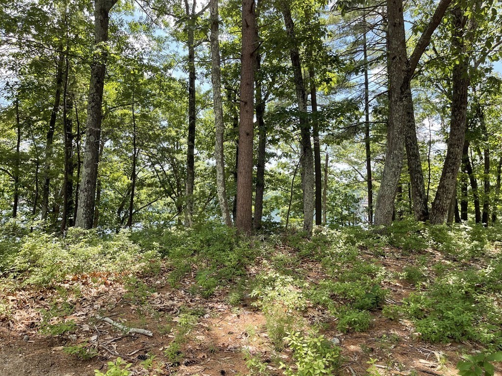 103 Cleverly Cove Road Lancaster, MA 01523 - Photo 1 of 4 a big yard with lots of green space and trees