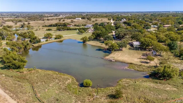 a view of a flower in a garden