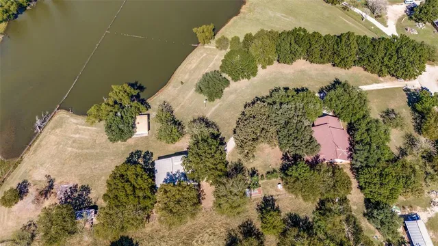 a view of a trees with a big yard
