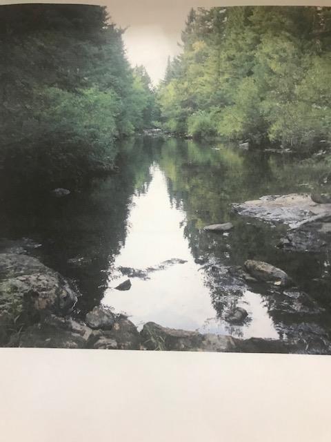 0 Cross Road Columbia Falls, ME 04623 - Photo 2 of 11 20200227183533571325000000-o
