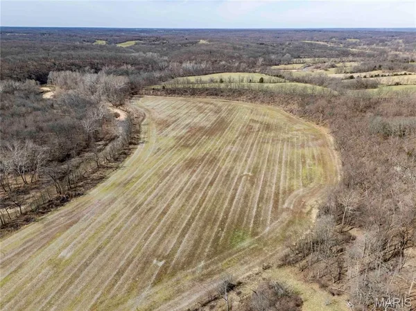 $262,500 | 0 Pike 58, Frankford, MO 63441