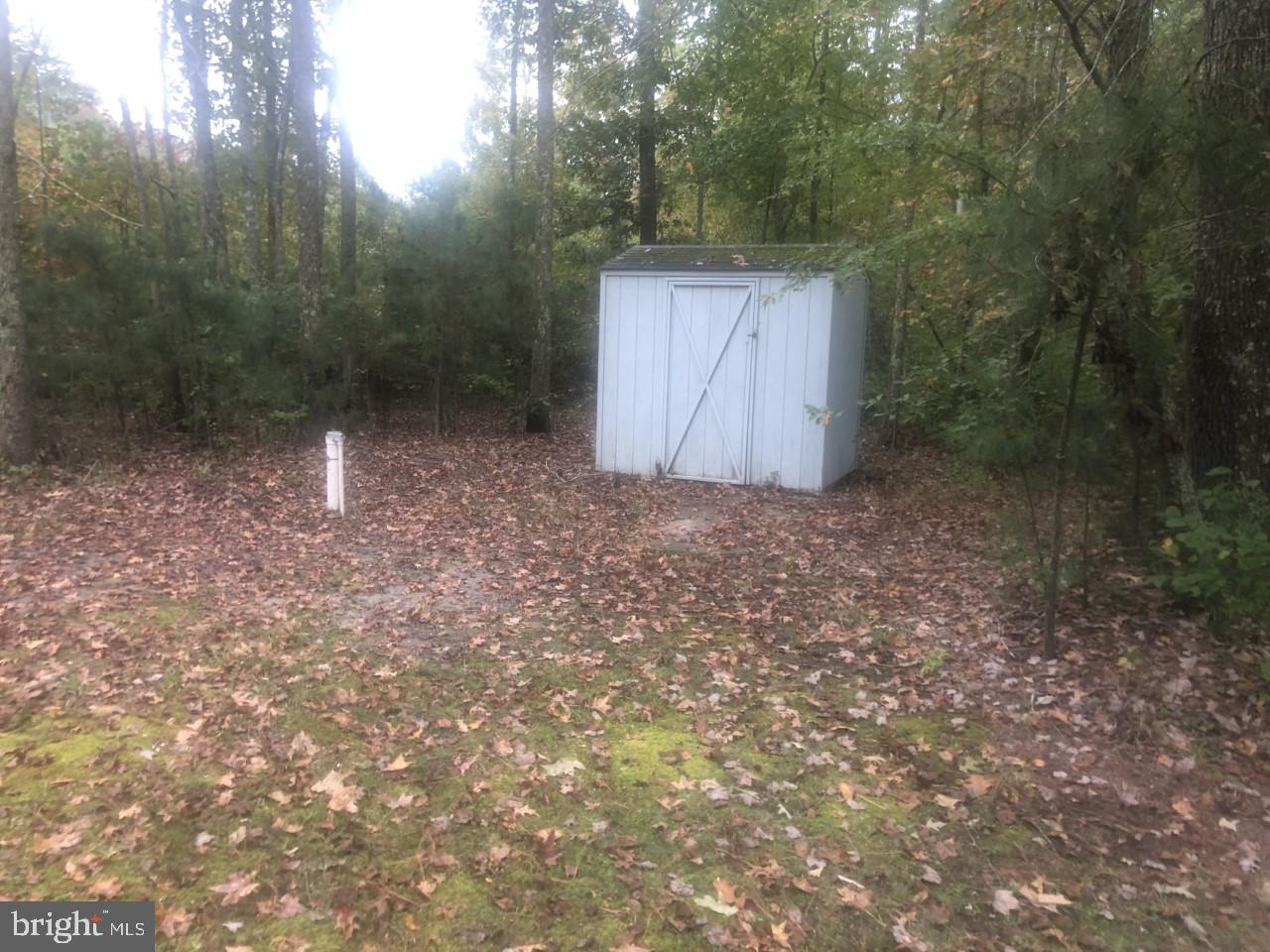 11510 Pine Pole Road Princess Anne, MD 21853 - Photo 39 of 44 4" well and shed