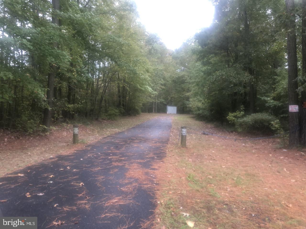 11510 Pine Pole Road Princess Anne, MD 21853 - Photo 40 of 44 Paved Drive