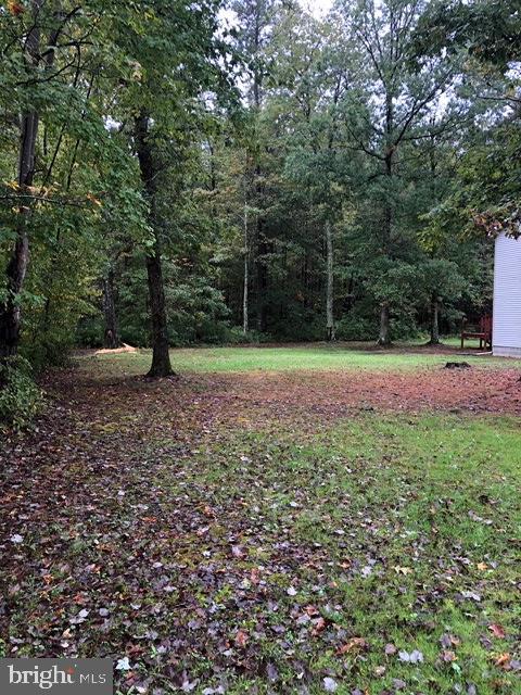 11510 Pine Pole Road Princess Anne, MD 21853 - Photo 41 of 44 Side Yard Facing Extra Parcel